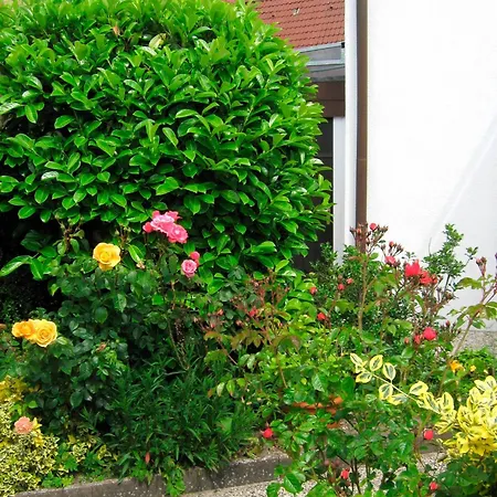 Apartmán Marina Ii - Whg 2 Grömitz